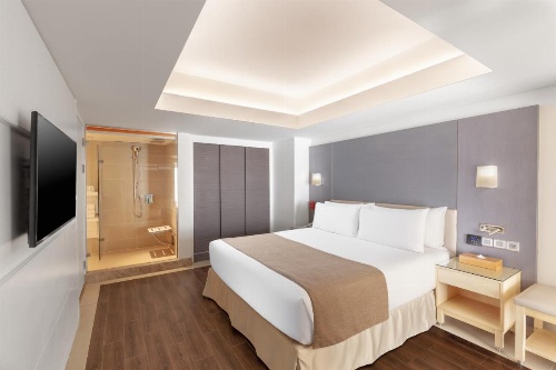 Holiday Inn Cairo Maadi image 24